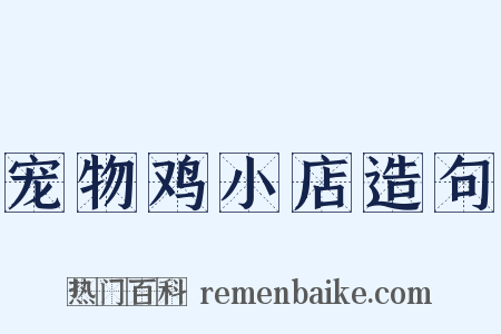 宠物鸡小店造句是什么意思的图片